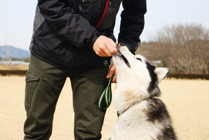ご要望に応じた様々なサービスをご用意